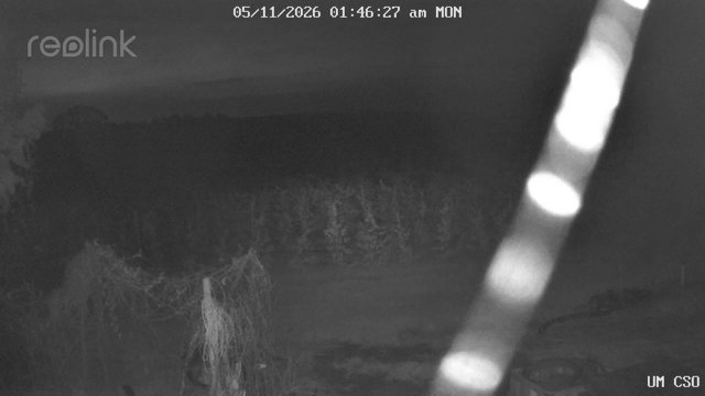 time-lapse frame, UM CSO webcam