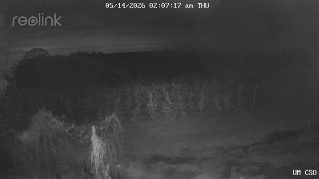 time-lapse frame, UM CSO webcam