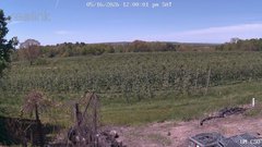 view from UM CSO on 2026-05-16