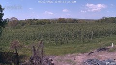 view from UM CSO on 2026-05-17