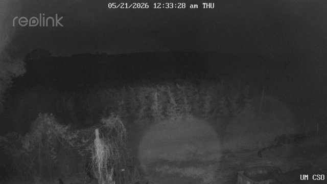 time-lapse frame, UM CSO webcam