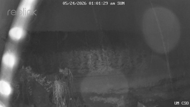 time-lapse frame, UM CSO webcam