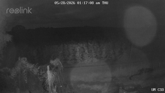 time-lapse frame, UM CSO webcam