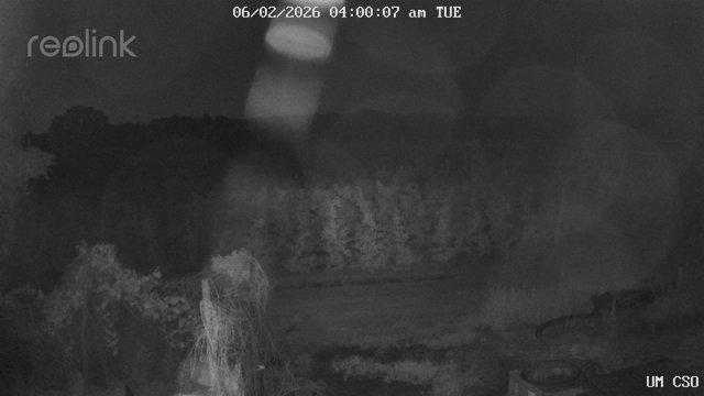 time-lapse frame, UM CSO webcam