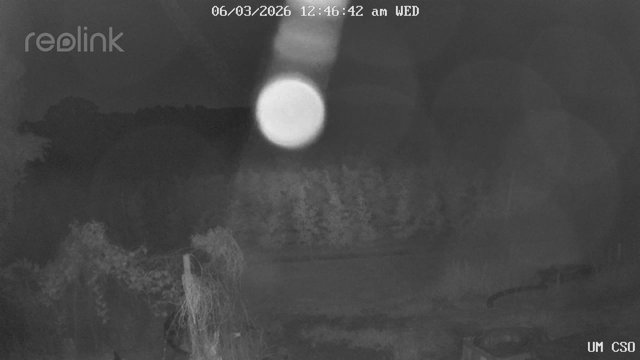 time-lapse frame, UM CSO webcam