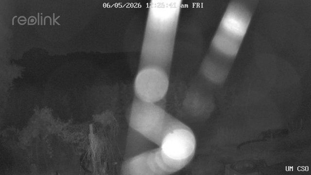 time-lapse frame, UM CSO webcam
