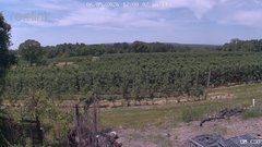 view from UM CSO on 2026-06-05