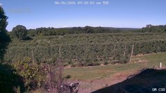 view from UM CSO on 2026-06-16