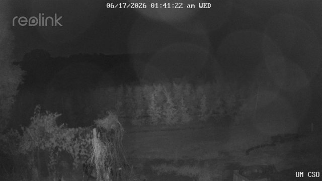 time-lapse frame, UM CSO webcam