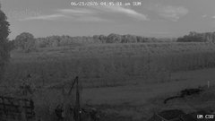 view from UM CSO on 2026-06-21