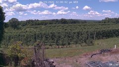 view from UM CSO on 2026-06-24