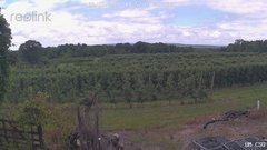 view from UM CSO on 2026-06-26