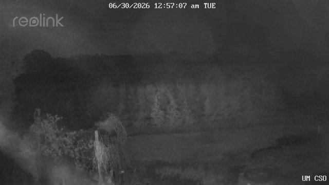 time-lapse frame, UM CSO webcam