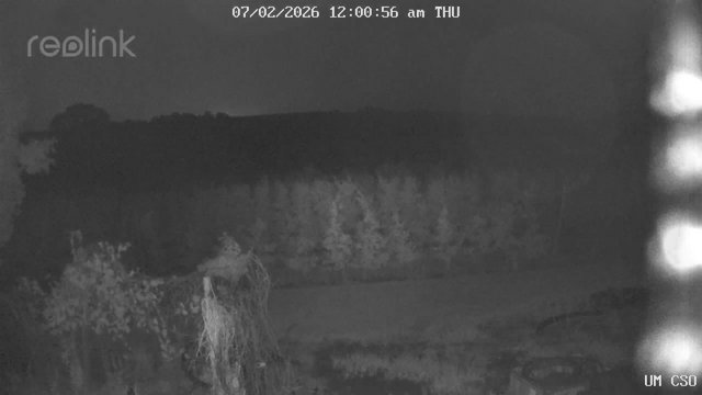 time-lapse frame, UM CSO webcam