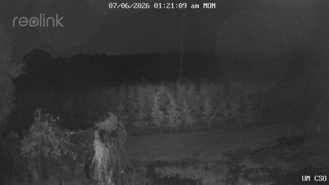 time-lapse frame, UM CSO webcam