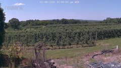 view from UM CSO on 2026-07-08