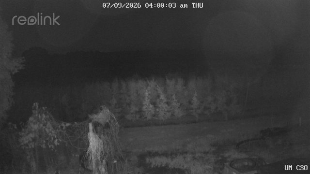 time-lapse frame, UM CSO webcam