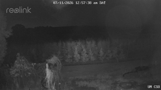 time-lapse frame, UM CSO webcam