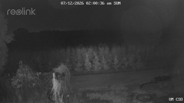time-lapse frame, UM CSO webcam