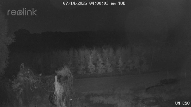 time-lapse frame, UM CSO webcam