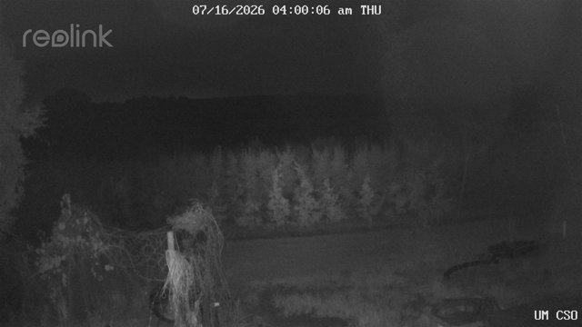 time-lapse frame, UM CSO webcam