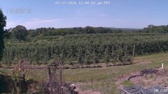 view from UM CSO on 2026-07-17