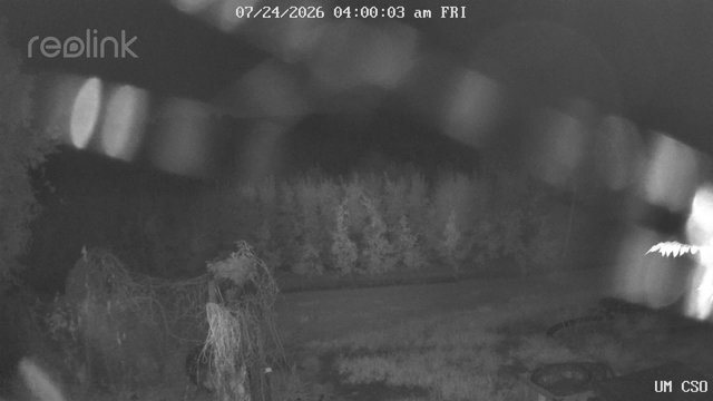 time-lapse frame, UM CSO webcam