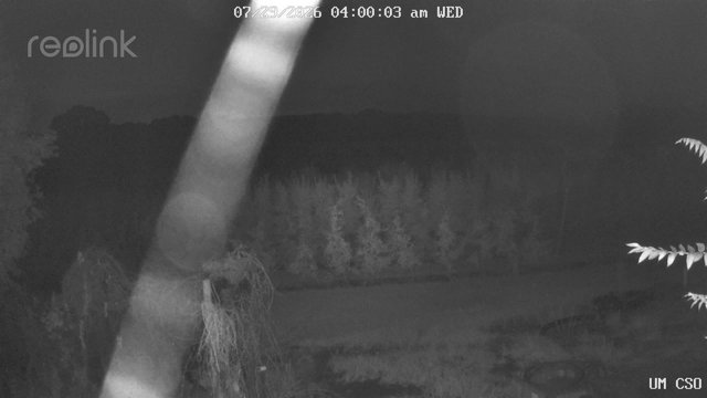 time-lapse frame, UM CSO webcam