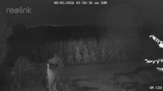time-lapse frame, UM CSO webcam