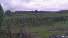view from UM CSO on 2026-08-03