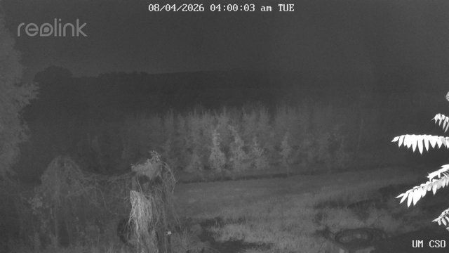 time-lapse frame, UM CSO webcam