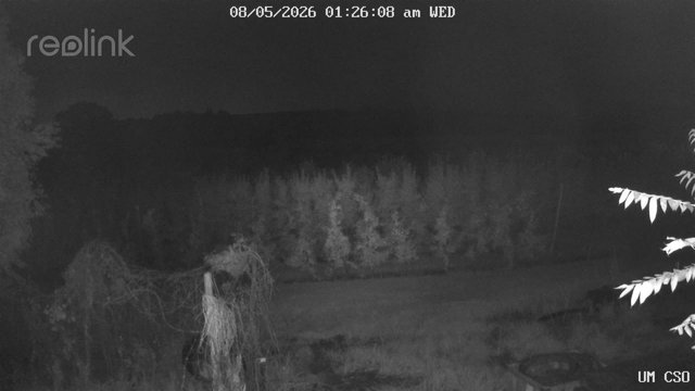time-lapse frame, UM CSO webcam