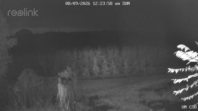 time-lapse frame, UM CSO webcam