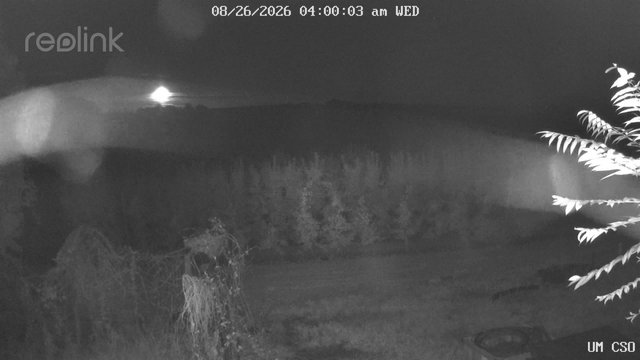 time-lapse frame, UM CSO webcam