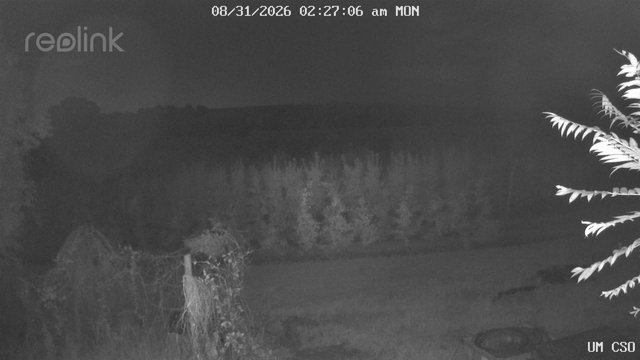 time-lapse frame, UM CSO webcam