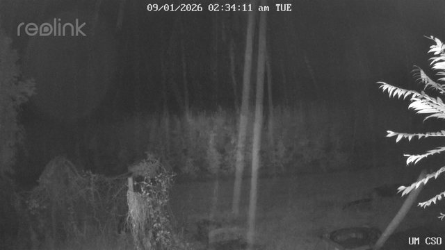 time-lapse frame, UM CSO webcam