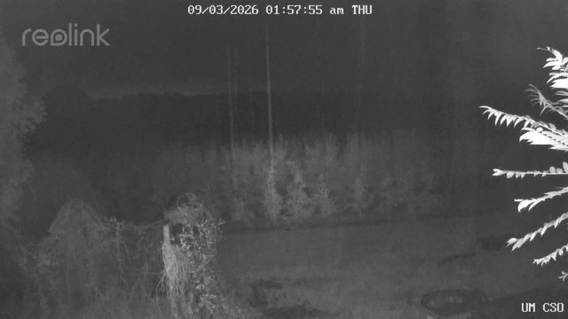 time-lapse frame, UM CSO webcam