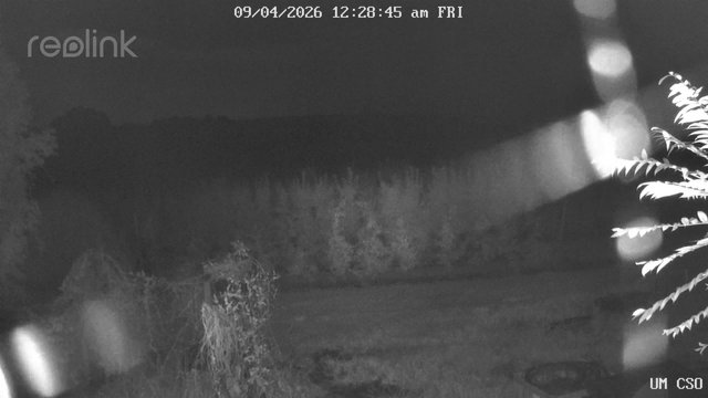 time-lapse frame, UM CSO webcam