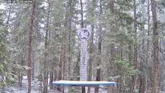 view from Powder Cam on 2026-05-18