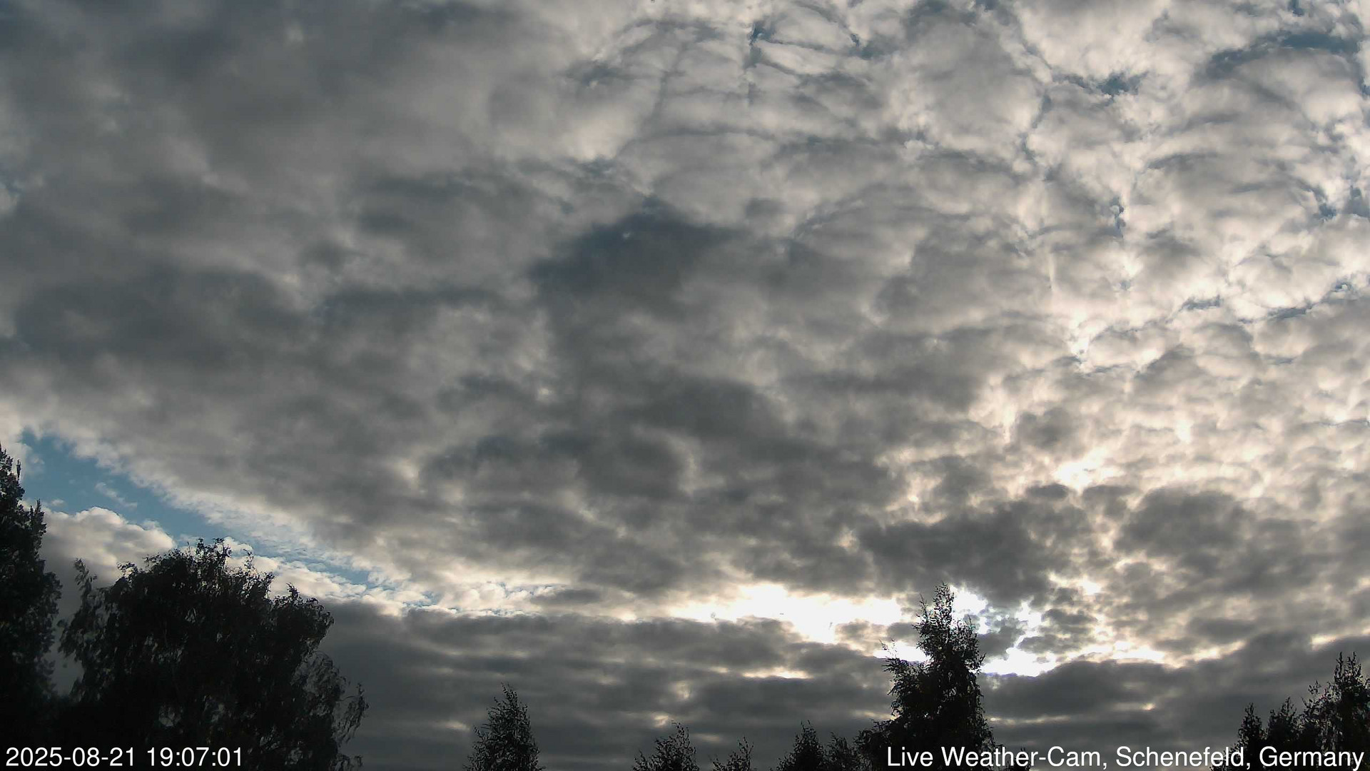 time-lapse frame, 2025-08-21 19:07-21:37 webcam