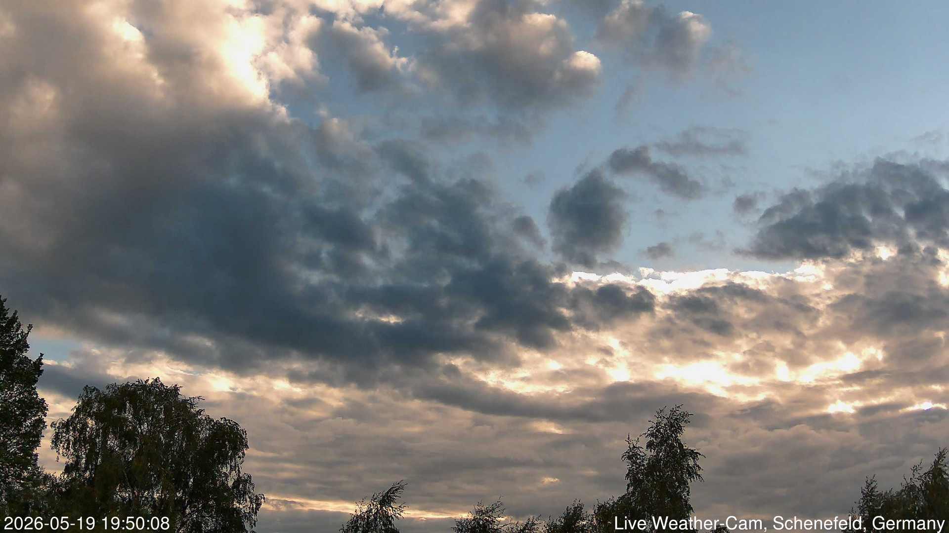 time-lapse frame, 2026-05-19 19:50-22:20 webcam