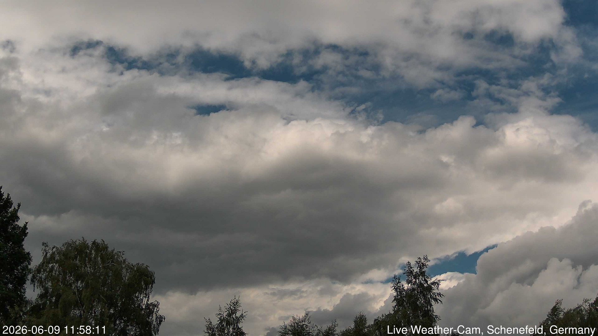 time-lapse frame,  webcam