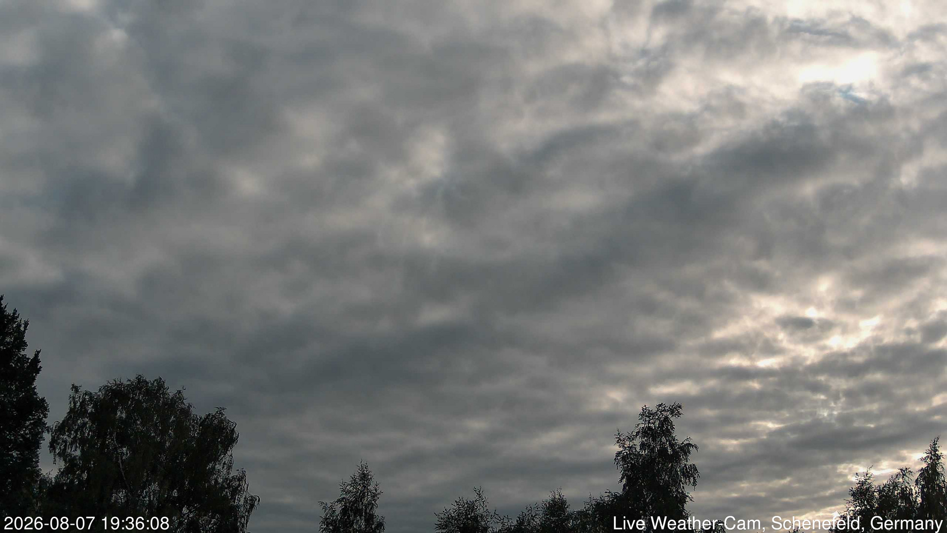 time-lapse frame, 2026-08-07 19:36-22:06 webcam