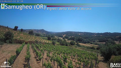 view from Samugheo on 2025-06-13