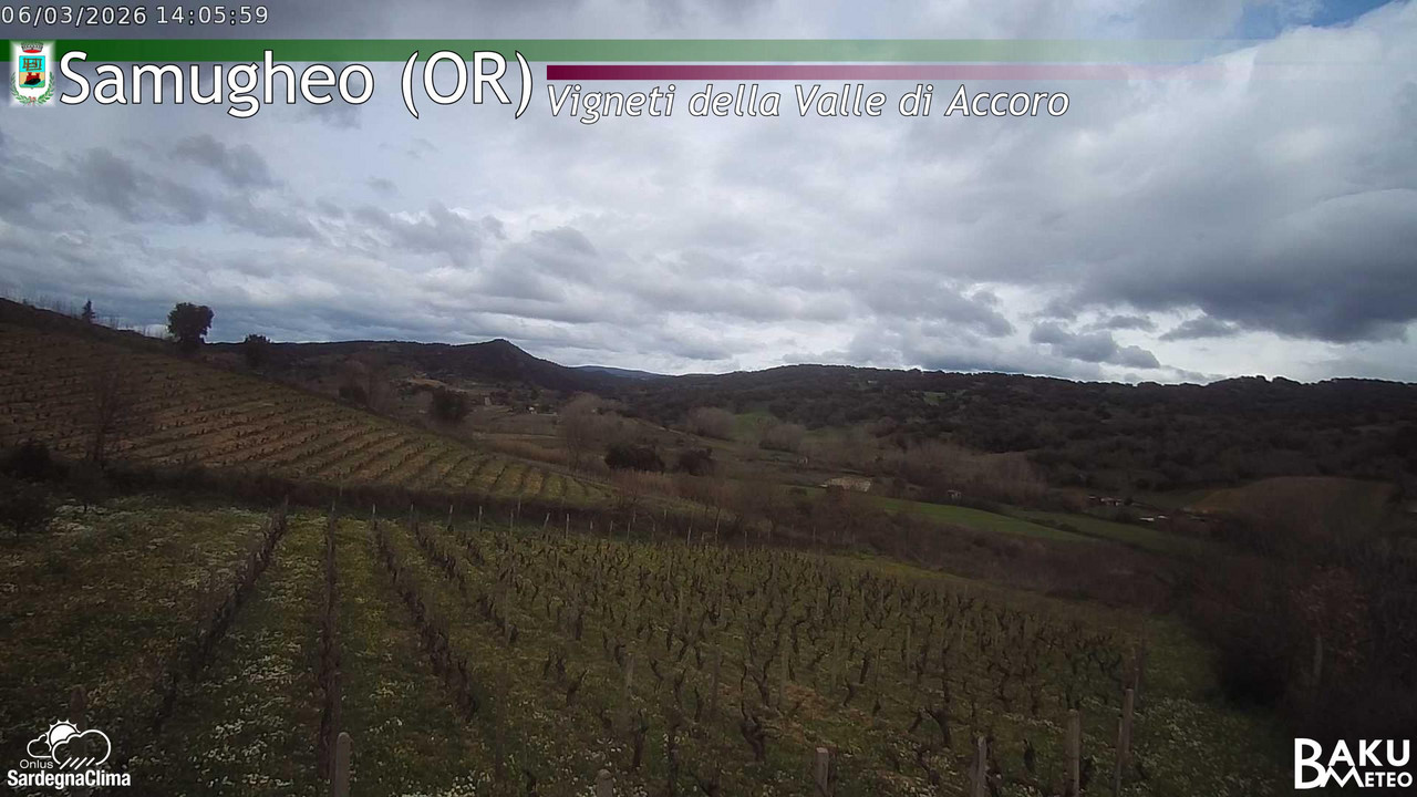 time-lapse frame, Samugheo webcam