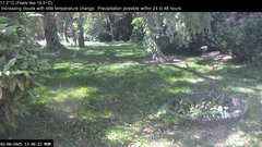 view from Wembury, Devon. Garden Zoom Cam on 2025-06-02