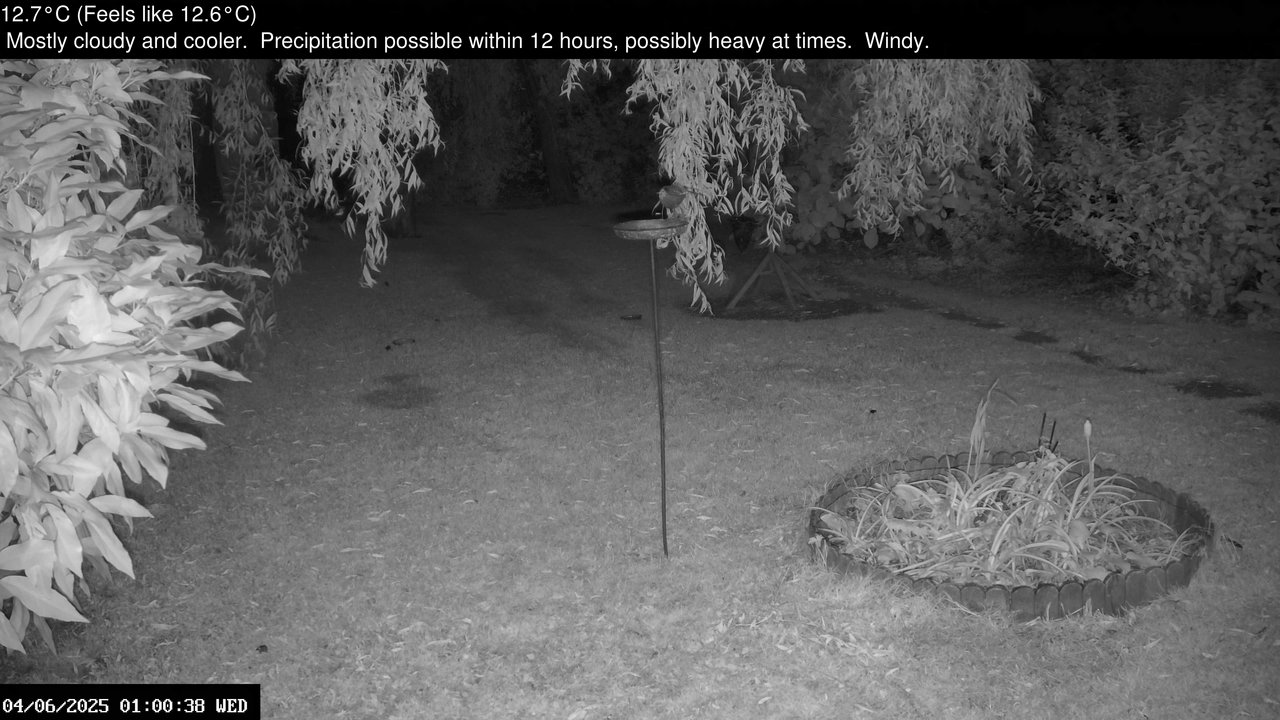 time-lapse frame, Wembury, Devon. Garden Zoom Cam webcam