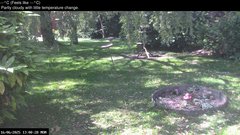 view from Wembury, Devon. Garden Zoom Cam on 2025-06-16
