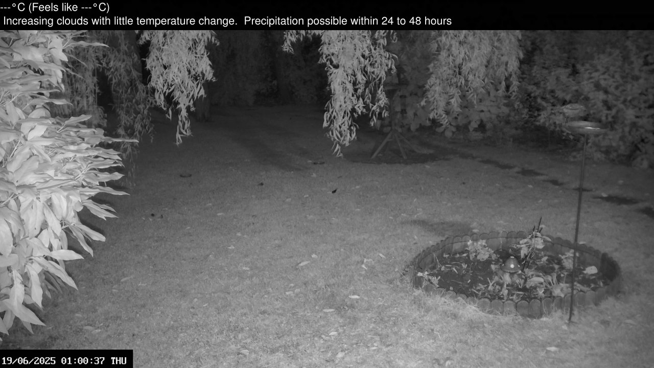 time-lapse frame, Wembury, Devon. Garden Zoom Cam webcam