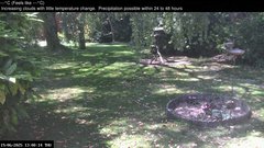 view from Wembury, Devon. Garden Zoom Cam on 2025-06-19